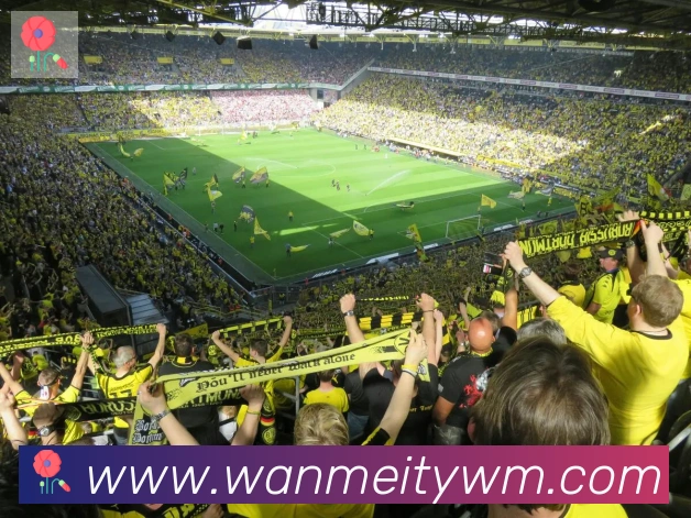 完美体育品牌故事