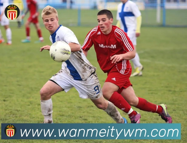 完美体育APP 封面图