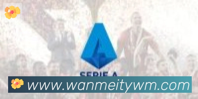 完美体育合作伙伴